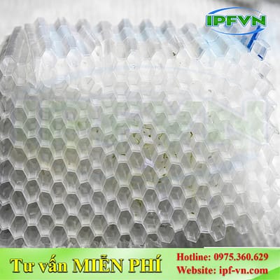 Đệm Vi Sinh Dạng Tấm PVC-5