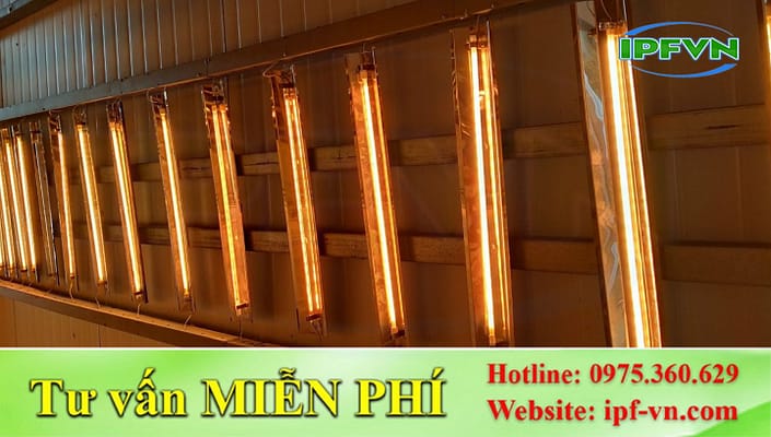 Bóng Sấy Hồng Ngoại Full Vàng-7